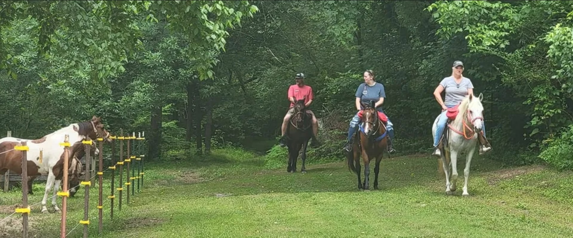 The Ultimate Guide to Equestrian-Friendly Properties in Nashville, TN